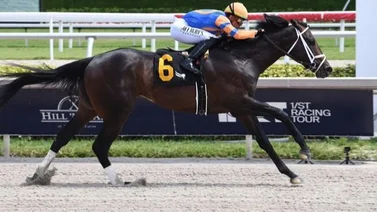 Se lesionó el entrenado de Todd Pletcher que correría el Travers en Saratoga