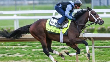 Propietario encendido gana 3 stakes y de 6-4 carreras en Estados Unidos