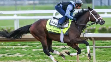 Propietario encendido gana 3 stakes y de 6-4 carreras en Estados Unidos Propietario encendido gana 3 stakes y de 6-4 carreras en Estados Unidos