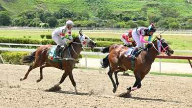 Pendientes reaparece uno de los consentidos del Stud “San Remo” para este domingo en La Rinconada 