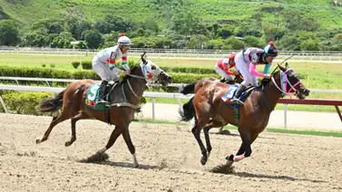 Pendientes reaparece uno de los consentidos del Stud “San Remo” para este domingo en La Rinconada Pendientes reaparece uno de los consentidos del Stud “San Remo” para este domingo en La Rinconada