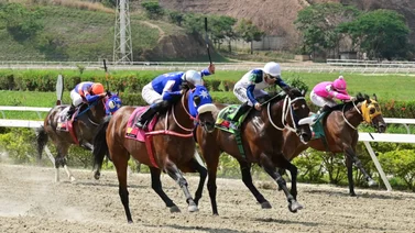 La fórmula del éxito regresa: El caballo dato y su jinete de la suerte apuntan a La Rinconada