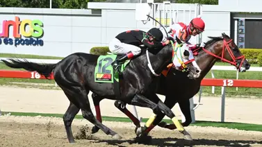 Ejemplar muy superior y figurador selectivo está listo para buscar su primera victoria del 2025 Ejemplar muy superior y figurador selectivo está listo para buscar su primera victoria del 2025