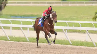 ¡Atención Hípica! El caballo con "etiqueta de bueno" retorna a la pista de La Rinconada con trabajos de lujo ¡Atención Hípica! El caballo con "etiqueta de bueno" retorna a la pista de La Rinconada con trabajos de lujo