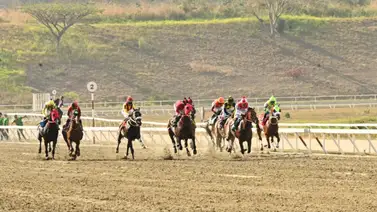 Super Caballos: Estos han sido los ejemplares que más veces han corrido el Clásico Fuerza Armada Nacional G1 Super Caballos: Estos han sido los ejemplares que más veces han corrido el Clásico Fuerza Armada Nacional G1
