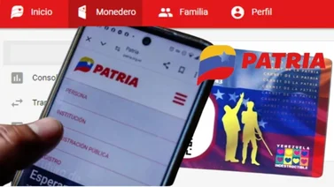 Sistema Patria