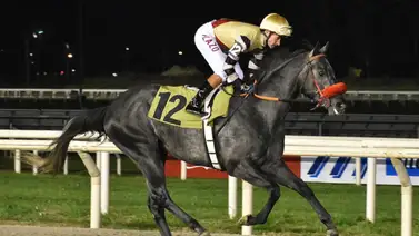 Suablenanav TH se llevó 5 premios en las Distinciones Maroñas Suablenanav TH se llevó 5 premios en las Distinciones Maroñas