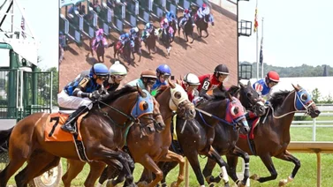 Oficial: Estos son todos los jockeys venezolanos con 1,000 o más victorias en Estados Unidos