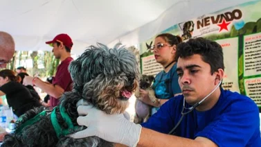 Misión Nevado brindará atención especial a mascotas: Conozca las fechas y ubicaciones