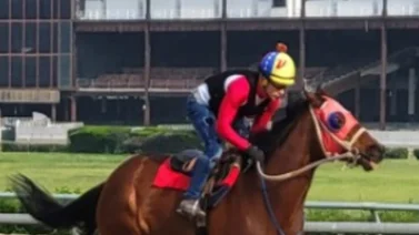 Jockey venezolano vuelve a ganar después de 20 montas en Estados Unidos
