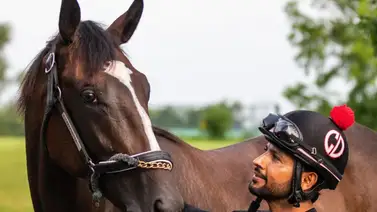 Zenyatta tiene en Nymue su última esperanza ahora en el antiguo establo de D. Wayne Lukas Zenyatta tiene en Nymue su última esperanza ahora en el antiguo establo de D. Wayne Lukas
