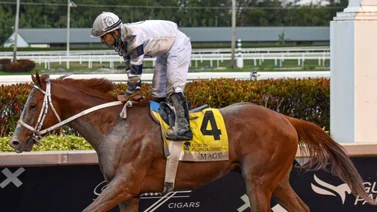 Javier Castellano con cinco compromisos de montas el primer día de Saratoga