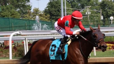 Junior Alvarado con cuatro montas este jueves y 13 en total en Saratoga