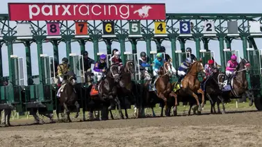 “El Ángel de la Fusta” suma otra victoria en la semana con batacazo de $18,80 “El Ángel de la Fusta” suma otra victoria en la semana con batacazo de $18,80