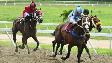 La jugada maestra: Así queda el ajuste de la sorpresa de Gaceta Hípica que podría definir su victoria en el 5y6 dominical La jugada maestra: Así queda el ajuste de la sorpresa de Gaceta Hípica que podría definir su victoria en el 5y6 dominical