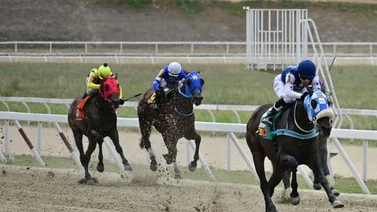 Si quieres comenzar la tarde con triunfo no puedes dejar de jugar este ejemplar que ajustó contenido en carrera pareja