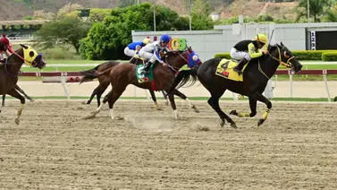 El ajuste y la nueva cuadra: La sorpresa escondida de la R25 en las no válidas El ajuste y la nueva cuadra: La sorpresa escondida de la R25 en las no válidas