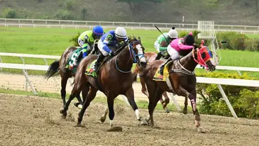 La Rinconada: Este ejemplar es el fijo de la R25 por su espectacular ajuste La Rinconada: Este ejemplar es el fijo de la R25 por su espectacular ajuste