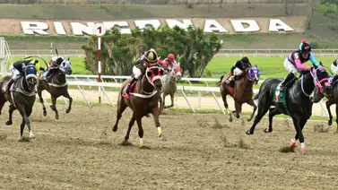 Los fijos hay que jugarlos y como ajustó este se puede asegurar la primera de la triple apuesta en La Rinconada Los fijos hay que jugarlos y como ajustó este se puede asegurar la primera de la triple apuesta en La Rinconada