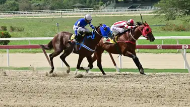 El misterio del "fijo" que no gana: Más de 365 días sin triunfos para un contendiente en La Rinconada El misterio del "fijo" que no gana: Más de 365 días sin triunfos para un contendiente en La Rinconada