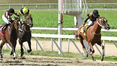 Ojo con este ejemplar que ajustó fenómeno y de ganar tumba todos los cuadros del 5y6 Ojo con este ejemplar que ajustó fenómeno y de ganar tumba todos los cuadros del 5y6