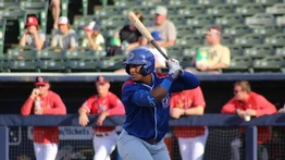 MLB: Prospecto de Leones del Caracas recibe importante distinción en filial de los Cachorros