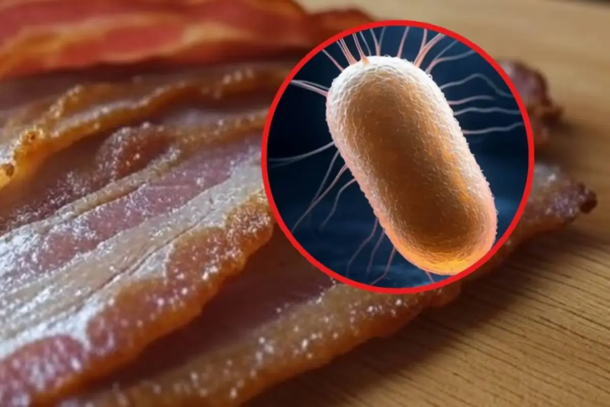 Tocino de pavo de la marca Oscar Mayer