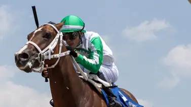 Emisael Jaramillo con 21 compromisos de montas en la semana 13 del Royal Palm Meet Emisael Jaramillo con 21 compromisos de montas en la semana 13 del Royal Palm Meet