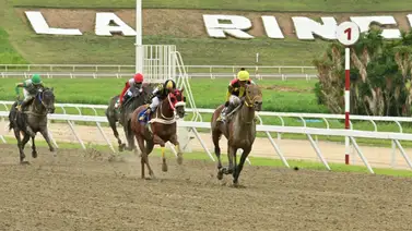 Datos de Última Hora para el Hipódromo La Rinconada 6-7-2025 Datos de Última Hora para el Hipódromo La Rinconada 6-7-2025