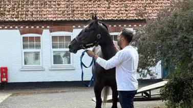 José Francisco D’Angelo con la mira puesta en el liderato del Royal Palm Meet José Francisco D’Angelo con la mira puesta en el liderato del Royal Palm Meet