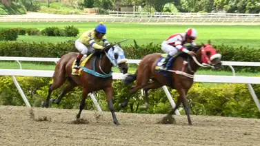 Atención aficionado hípico: A esta hora conozca el dato más corrido que participa en la primera válida del 5y6 dominical Atención aficionado hípico: A esta hora conozca el dato más corrido que participa en la primera válida del 5y6 dominical