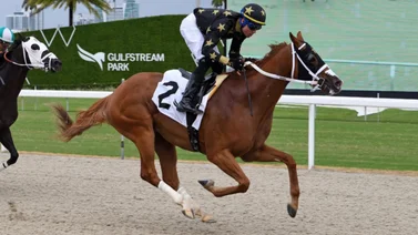 Orgullo venezolano: Cipriano Gil enciende con doblete en Gulfstream Park