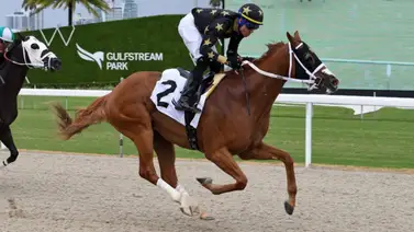 Orgullo venezolano: Cipriano Gil enciende con doblete en Gulfstream Park Orgullo venezolano: Cipriano Gil enciende con doblete en Gulfstream Park