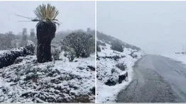 Hermosa nevada engalana al páramo merideño este viernes 4 de julio (+Video)