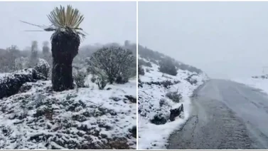 Hermosa nevada engalana al páramo merideño este viernes 4 de julio (+Video)