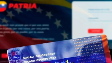 Sistema Patria