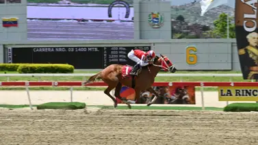 Aprendiz sensación del 2025 en la Rinconada no montará este domingo Aprendiz sensación del 2025 en la Rinconada no montará este domingo