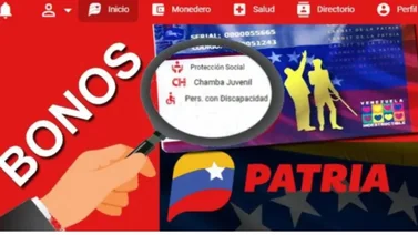 Sistema Patria Bono Beca Universitaria