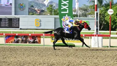 Sepa el destino de El de Froix luego del Clásico Internacional Fuerza Armada Nacional Sepa el destino de El de Froix luego del Clásico Internacional Fuerza Armada Nacional