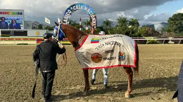 Maple Grove remata y sale de perdedor al ganar el Clásico Cría Nacional G1 Maple Grove remata y sale de perdedor al ganar el Clásico Cría Nacional G1