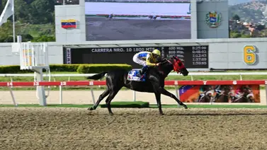 En la Historia: Conozca cuantos G1 ganó El de Froix como purasangre En la Historia: Conozca cuantos G1 ganó El de Froix como purasangre