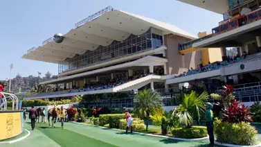 Monto sellado del 5y6 nacional supera lo 95 millones de bolívares recaudados Monto sellado del 5y6 nacional supera lo 95 millones de bolívares recaudados