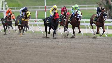 Dominio absoluto: El speed rating de Gaceta Hípica identificó nueve ganadores en la jornada dominical