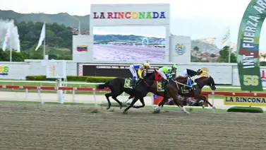 Mira la despedida de la esposa de Francisco Quevedo a El de Froix Mira la despedida de la esposa de Francisco Quevedo a El de Froix