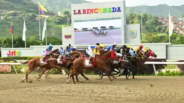 Circunstancias específicas que condujeron a la reciente suspensión de un jinete profesional en La Rinconada Circunstancias específicas que condujeron a la reciente suspensión de un jinete profesional en La Rinconada