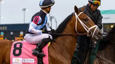 Journalism ganador del Preakness Stakes está listo para la revancha ante Sovereignty Journalism ganador del Preakness Stakes está listo para la revancha ante Sovereignty