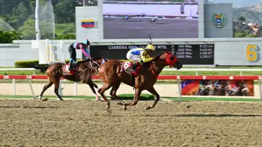 Conozca la lesión que sufrió El Relámpago tras correr el Clásico Cría Nacional G1 Conozca la lesión que sufrió El Relámpago tras correr el Clásico Cría Nacional G1