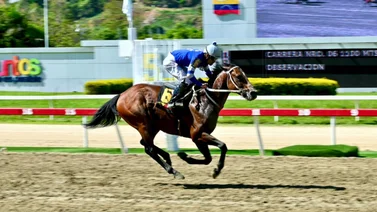 Rumbo a la Triple Corona apostando en MeridianoBet