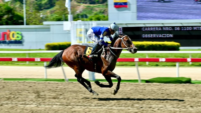 Rumbo a la Triple Corona apostando en MeridianoBet