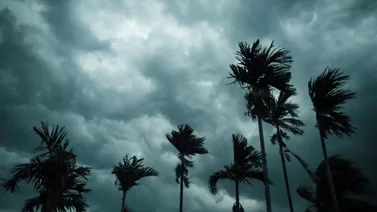 Pronóstico del clima méxico 8 de julio 2025: Monzón, lluvias fuertes y ola de calor persistente